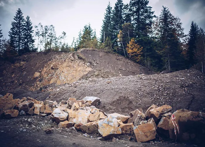 Losiowka